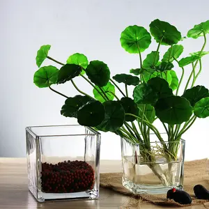 도매 사각 유리 꽃병 홈 장식 투명 꽃병 식물 유리 큐브 장식 어항