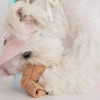 Belle conception forme de crème glacée en peluche chiens de compagnie mâcher odeur interactive jouets animal de compagnie en peluche lente nourriture recherche jouet vocal caché nourriture jouet
