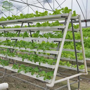Landwirtschaft NFT Salat Hydro ponik Anbaus ysteme Aeroponik vertikal für Gewächshaus farm