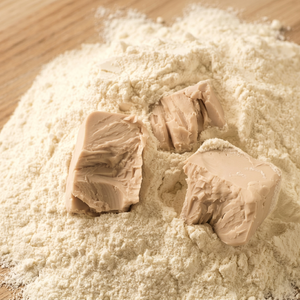 Poudre d'Isolat de Protéine de Levure 100% Pure, Concentrée, d'Origine Végétale, Haute Pureté, Durée de Conservation de 24 Mois, Optimiseurs Nutritionnels FitTree - Product Image 1