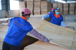 بيع مباشر من المصنع لألواح الخشب الرقائقي بواجهة ، من من ألواح من خشب الأبلكاج من من من من المصنع ، ولوح 18 من ألواح الخزائن - Product Image 6