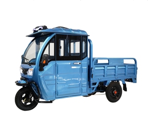 Elion S2 EEC COC katrol roda tiga kabin tertutup elektrik untuk dengan beban 600KG buatan Tiongkok - Product Image 1