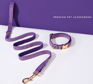 Purple Bowtie Set Personalized Leather Rivet <b>Dog</b> Collar and Leash with Free Engraved Name for Wedding Gift-Nylon & Corduroy - Product Image 2