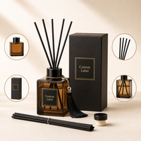 Ensemble diffuseur de parfum personnalisé avec huile et bâtonnets en verre sans plomb, capacité de 100 ml pour la fragrance d'intérieur