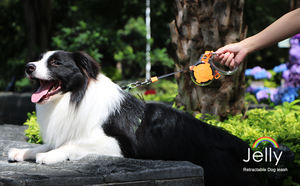 2025 nuova tendenza Anti-improvvisa accelerazione retrattile guinzaglio per cani morbido moda ferro e corda in Nylon resistente maniglia in plastica portatile - Product Image 2