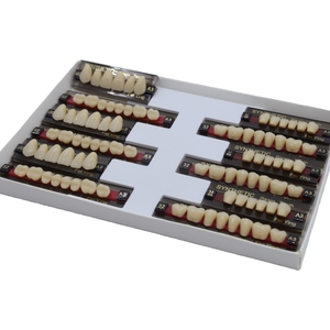 ฟันเรซิ่น ฟันปลอมขนาดเต็ม หลายแบบ สำหรับทำฟันปลอมทางทันตกรรม - Product Image 5