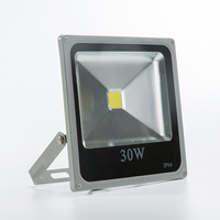 Projecteur LED 30W IP66 en aluminium, lumière de paysage, CRI élevé 80, blanc neutre 4100K, garantie 2 ans pour les terrains de sport