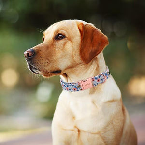 Coleira de Cão Personalizada com Logo, Estampa de Flor Rosa Vermelha, Coleira Durável com Fivela de Metal - Product Image 3