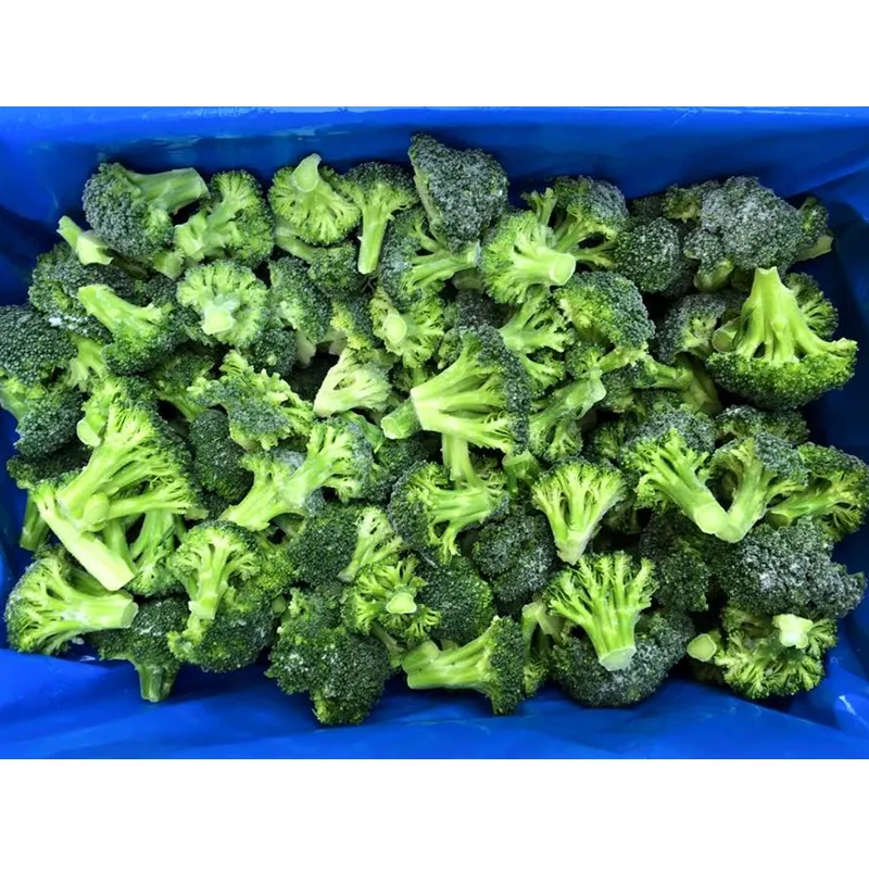 Bulk IQF Frozen Green Fresh Broccoli Frozen Broccoli Vegetable from Egypt