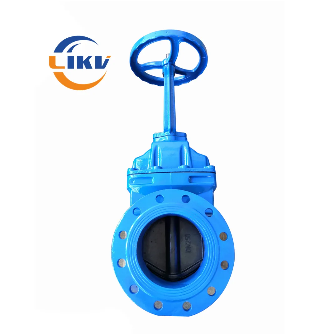 API 600 Cast Iron Resilient Seated Wedge Rising Stem Motorized Gate Valve for Water