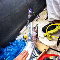Leurre de pêche en mer JK HAIRTAIL TENYA super tranchant et robuste pour la pêche au jigging en eau salée avec hameçons pour le bar.