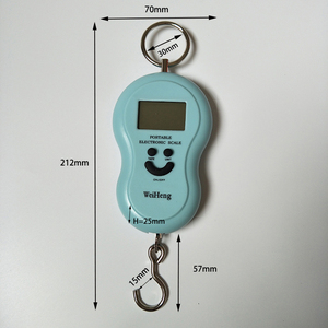 Pèse-bagages portable Weiheng de haute qualité, 45 kg, en ABS, avec écran LCD/LED, précision 1g, personnalisable OEM - Product Image 2