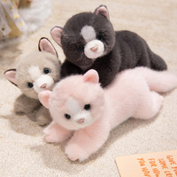 Peluche personnalisée populaire et mignonne en trois couleurs, chat persan, cadeau d'anniversaire, jouet en peluche