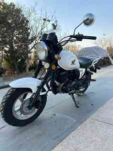 Hondaa Monkey <span class=keywords><strong>125</strong></span>, <span class=keywords><strong>mini</strong></span>-<span class=keywords><strong>moto</strong></span> de style rétro pour la ville, produit d'occasion, <span class=keywords><strong>moto</strong></span> d'occasion - Product Image 2