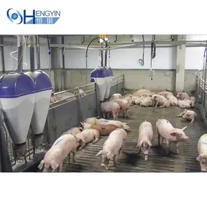Фермерские клетки для свиней, фермы, гальванизированные фермерские клетки для свиней