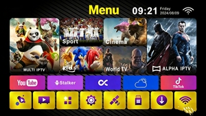 Récepteurs TV <span class=keywords><strong>Starsat</strong></span> DVB-S2 avec accessoires H.264, récepteur IP TV et accès aux chaînes TV - Product Image 2
