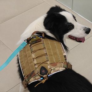 Large <b>Dog</b> Tactical Harness Camouflage Oxford Cloth With Velcro Strap And Led <b>Light</b> Up Design For Outdoor Use - Product Image 2