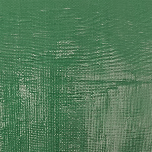 Toile enduite de PE de bâche de tente de coton résistant de silicium organique pour la couverture de dôme de bateau de camion de <span class=keywords><strong>peinture</strong></span> pour des garçons - Product Image 1