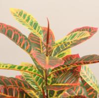 JWS4114 JIAWEI Arbres Bonsaï Artificiels de Qualité Exceptionnelle, Feuilles de Banyan Dorées à Changement de Couleur, Plastique/Tissu Écologique