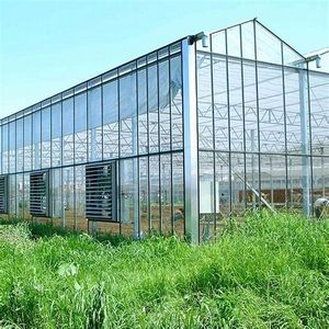 <span class=keywords><strong>Grande</strong></span> serre agricole multi-chapelles en acier galvanisé avec couverture en verre pour la culture de légumes - Product Image 1