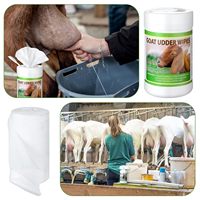 Lingettes humides de voyage personnalisées OEM&ODM, lingettes humides jetables en conserve, mini lingettes humides portables