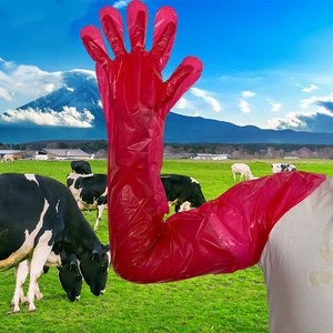 Guantes largos quirúrgicos veterinarios <span class=keywords><strong>de</strong></span> plástico Cajas Con 300 Guantes <span class=keywords><strong>De</strong></span> Carnaza Inseminacina Artificial para Vacas - Product Image 5