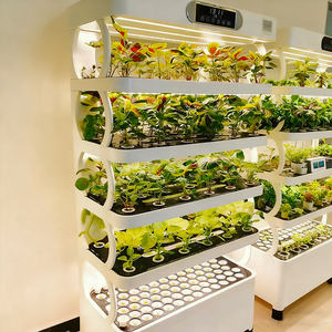 Sistemas de Cultivo Hidropónico para Uso Doméstico 2026, Bomba Automática Interior, PVC de Grado Alimenticio, 65 Meses de Riego, Venta al Por Mayor - Product Image 2