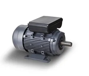 YL 1430 rpm 2.2kw مكثف بدء مرحلة واحدة التعريفي محرك كهربائي