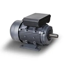 Motor eléctrico de inducción monofásico de arranque de condensador de 1430 rpm 2,2 kW YL