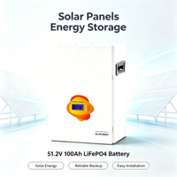 Baterías Lifepo4 de 51.2v 100ah para Paneles Solares, Almacenamiento de Energía, Batería de Litio de 5kwh Combinada con Inversor