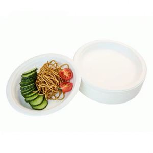 Assiette jetable écologique en bagasse de canne à sucre de 9 pouces, vente en gros, plateau alimentaire biodégradable - Product Image 2