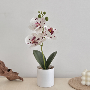 Venta al por mayor nuevos artículos de decoración <span class=keywords><strong>para</strong></span> el hogar PC Feng Shui <span class=keywords><strong>flores</strong></span> decorativas y coronas adorno colgante de plástico orquídea felicitaciones - Product Image 2
