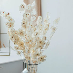 2024 meilleures fleurs séchées populaires séchées naturelles <span class=keywords><strong>Lunaria</strong></span> <span class=keywords><strong>annua</strong></span> pour la décoration de la maison - Product Image 2
