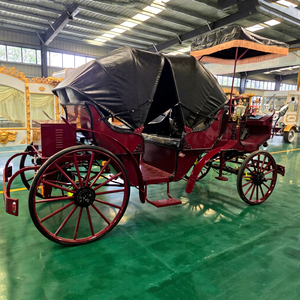 Carroza Eléctrica Plegable ZOWN Borgoña Vintage con Toldo Negro de China para Bodas, Eventos y Transporte Turístico - Product Image 1