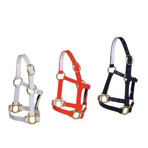 Halter de cheval en PVC robuste avec matériel polonais en laiton réglable étanche pour une utilisation quotidienne et l'entraînement Style de selle anglaise - Product Image 4