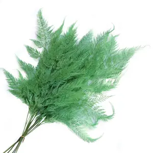 Ins Style Custom-made Multicolor Optional Snow Fern for Wedding Show Floral Materials Valentine's Day Hanging