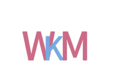 Guangzhou Wmk Trading Co., Ltd. logo