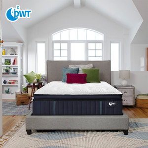 Thoải Mái Nệm Nữ Hoàng Vua Nội Thất Phòng Ngủ Đặt Vừa Chỉnh Hình Mùa Xuân Nệm Nữ Hoàng Kích Thước Mềm Nệm Cho Phòng Ngủ - Product Image 1