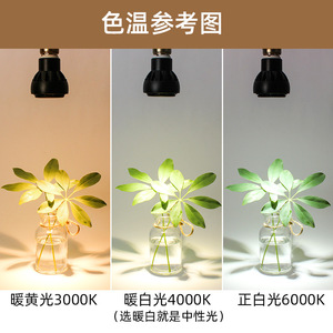 LED <b>Spotlight</b> Bulb E27 3W 5W COB Cup Lamp Warm Light Source For Restaurant Downlights - Product Image 4