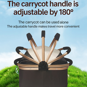 <span class=keywords><strong>Poussette</strong></span> pour chat et chien à double couche, portable, luxueuse, grande, pliable, à 2 niveaux, avec porte-animaux amovible - Product Image 5