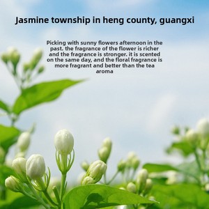 Aoxin Lai Jasmine Snow Bud Black Gold Caffè Istantaneo Bulletproof a Basso Contenuto Calorico con MCT, Tè al Latte, Bevanda Solida, Spezie ed Erbe dal Gusto Morbido - Product Image 5