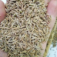 Cumin entier en vrac, graines séchées, prix du cumin pour les fournisseurs chinois, épices, graines de cumin noir