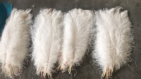 40-45cm Grande plume d'autruche noire et blanche pour carnaval Costumes Party Home Centerpiece Decor Decoration