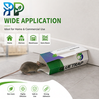 Piège à souris à la colle, parfum beurre de cacahuète, usage unique, pour rats et insectes, lutte contre les rongeurs, vente en gros, contrôle des nuisibles