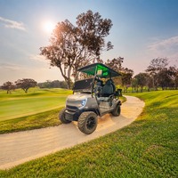 Voiturette de golf électrique Pumpkin Patch 2, 4 ou 6 places, moteur AC 72V 7.5KW, batterie au lithium, pour utilisation sur terrain, avec support pour caisses de production et étagères