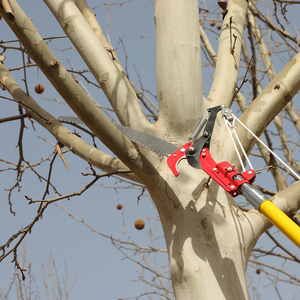 Fabricant de gros ciseaux télescopiques haut de gamme en acier au carbone ciseaux d'élagage de jardin ciseaux de fruits <span class=keywords><strong>litchi</strong></span> - Product Image 4