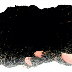 Rice Husk Ash Briquette for Garden Planting Media Export Quality Indonesia Indococo Supplier & Manufacturer - Product Image 1