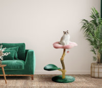Arbre à chat en bois, tour à chat en bois, arbre à chat moderne, arbre à grimper pour chat
