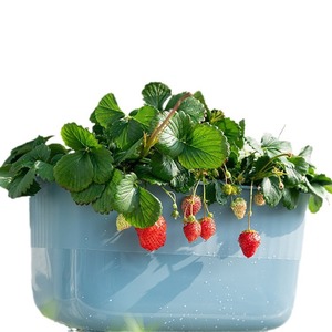 Jardinière auto-arrosante Arisu Series, bleu profond, jardin hydroponique de bureau, pot rectangulaire pour légumes - Product Image 5