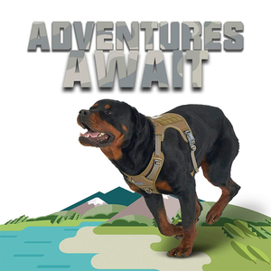 Harnais tactique d'entraînement pour chien, gilet de sécurité sans traction, laisse et harnais tactiques réfléchissants pour chien - Product Image 3